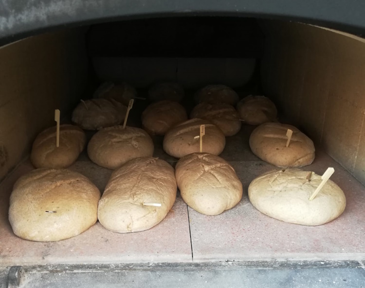 Bild "Backen:backen03_750px.jpg"